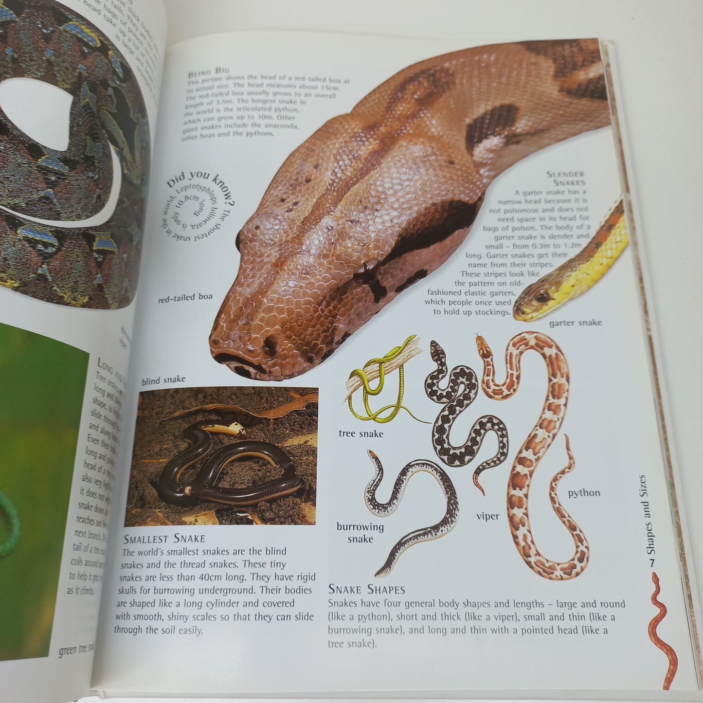 Nature Watch: Snakes by Barbara Taylor