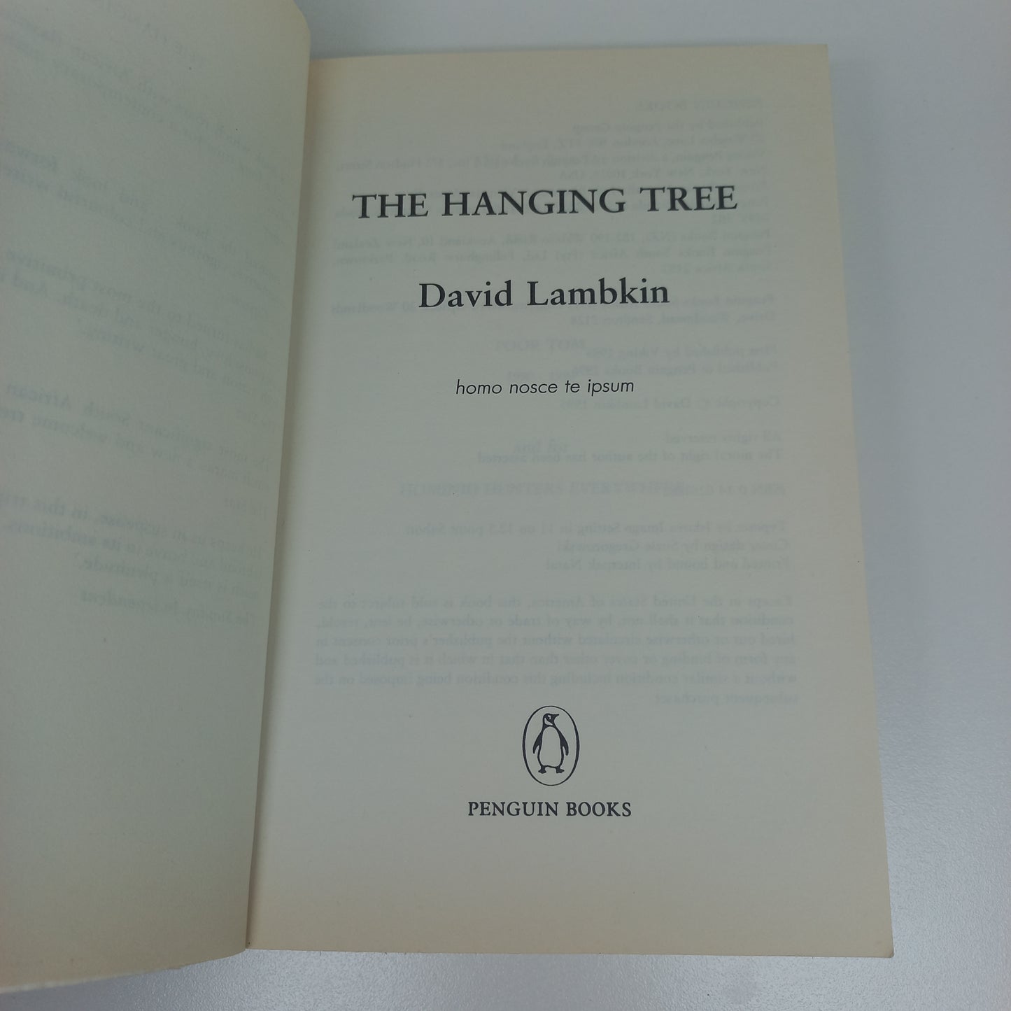 The Hanging Tree by David Lambkin