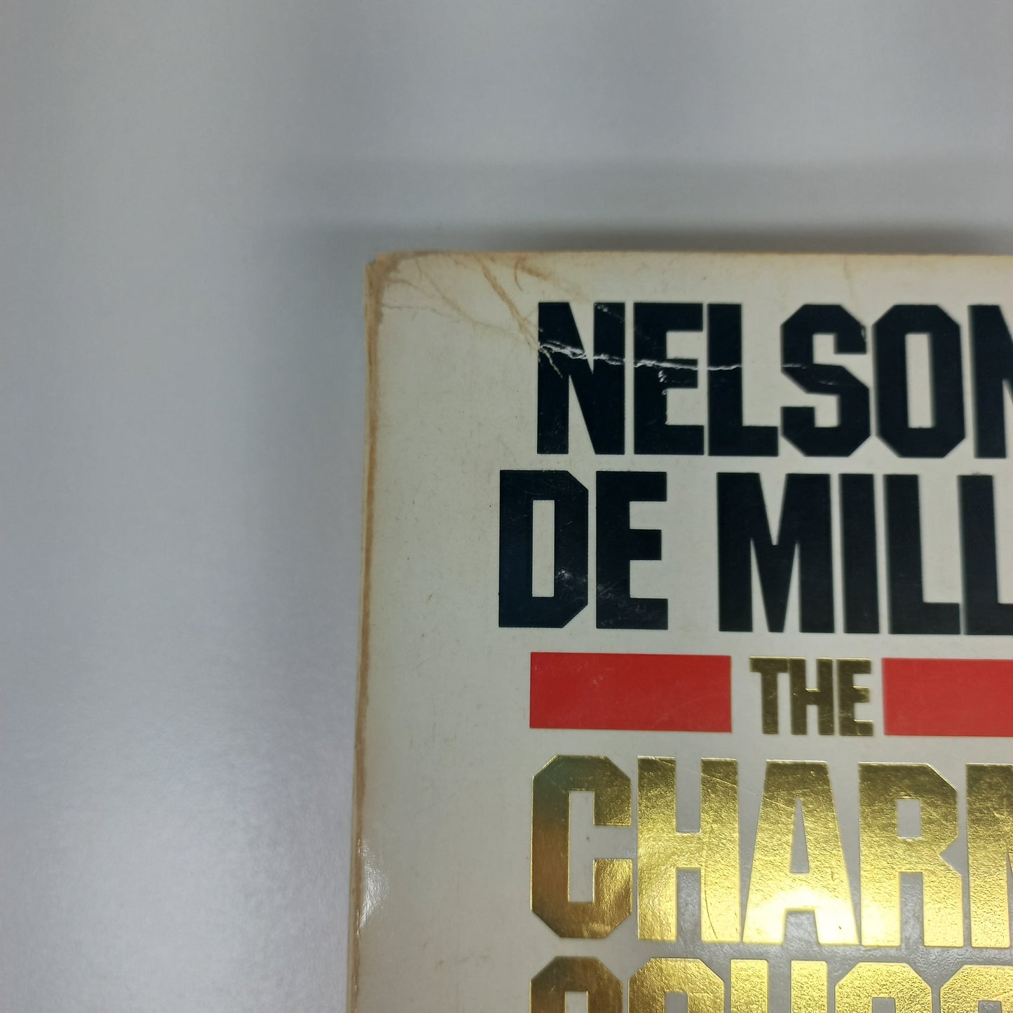 The Charm School by Nelson De Mille