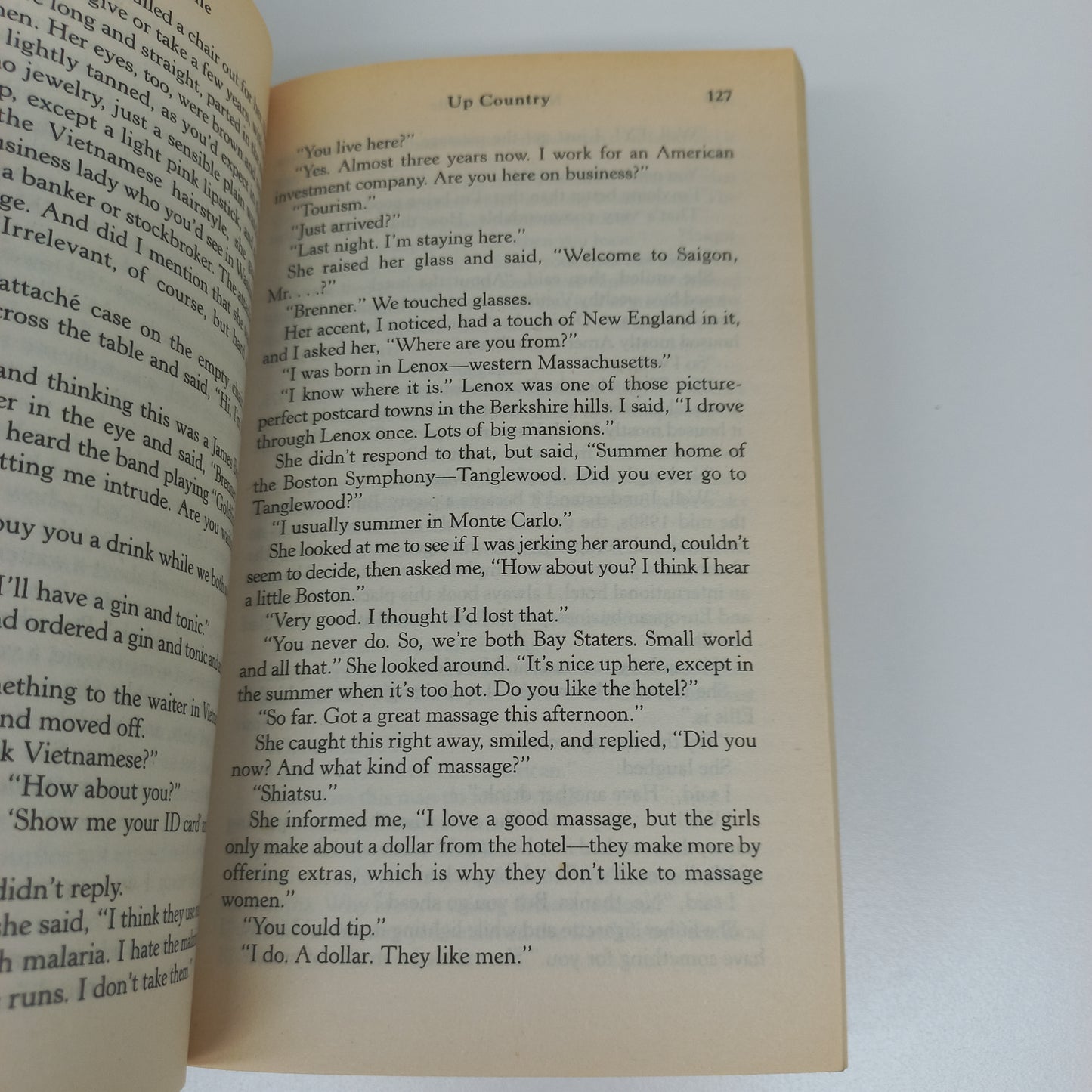 Up Country by Nelson De Mille (Paul Brenner #2)