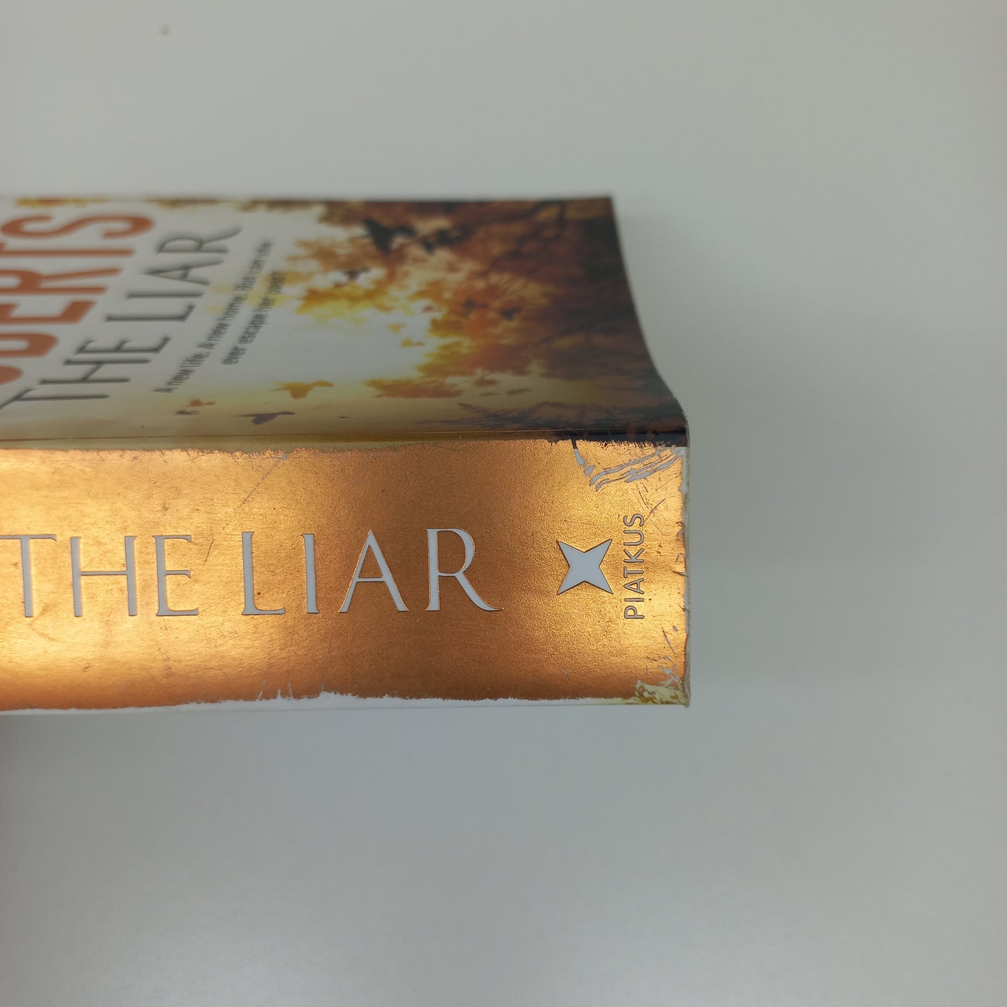 The Liar by Nora Roberts