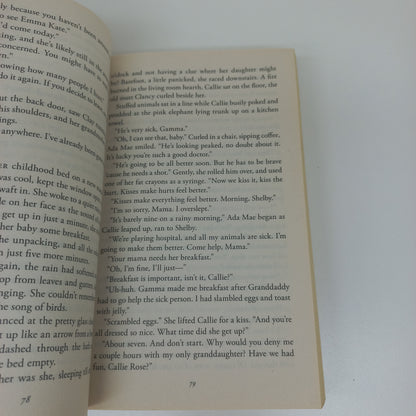 The Liar by Nora Roberts