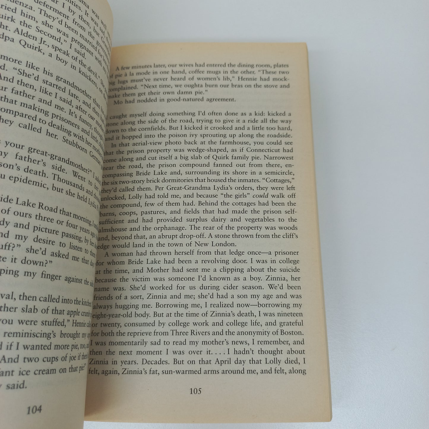 The Hours I First believed by Wally Lamb