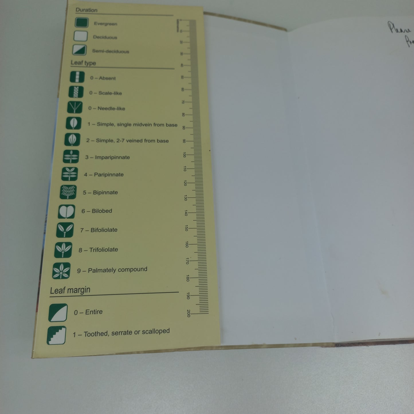 Photo Guide to Trees of Southern Africa by Braam Van Wyk, Piet Van Wyk & Ben-Erik Van Wyk