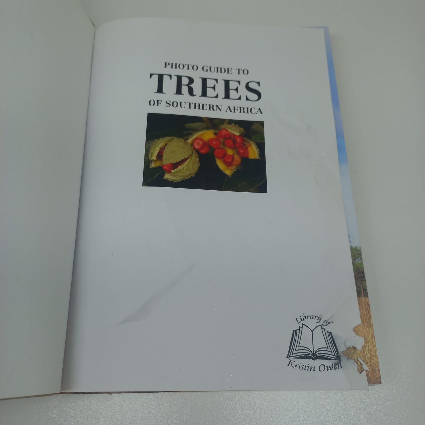 Photo Guide to Trees of Southern Africa by Braam Van Wyk, Piet Van Wyk & Ben-Erik Van Wyk