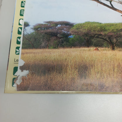 Photo Guide to Trees of Southern Africa by Braam Van Wyk, Piet Van Wyk & Ben-Erik Van Wyk