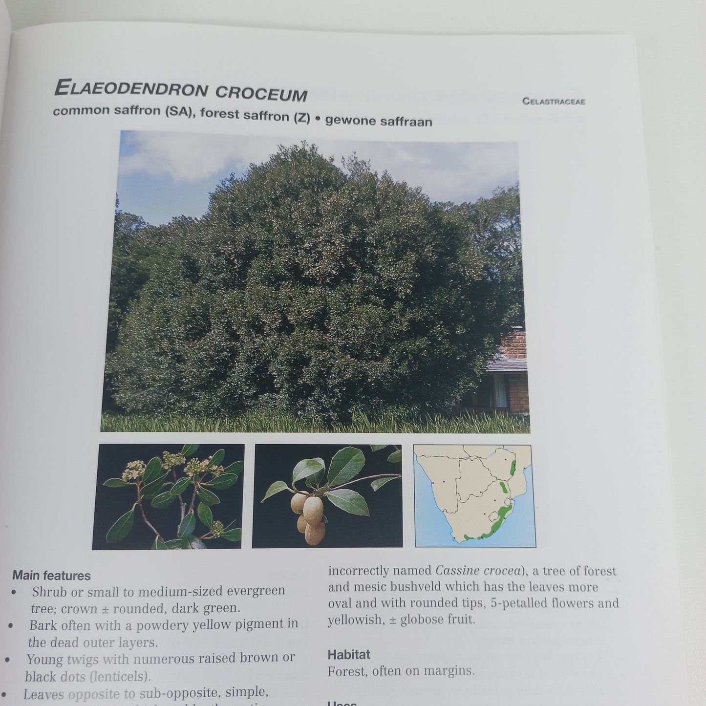 Photo Guide to Trees of Southern Africa by Braam Van Wyk, Piet Van Wyk & Ben-Erik Van Wyk