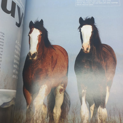 HQ Horse Quarterly Mixed Bundle of 4 Magazines Issue 57, 58, 61 & 64 (2010 - 2012)