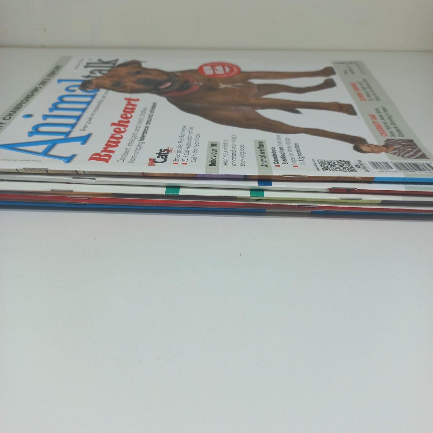 AnimalTalk Magazine Bundle 5 Magazines 2014 Issues