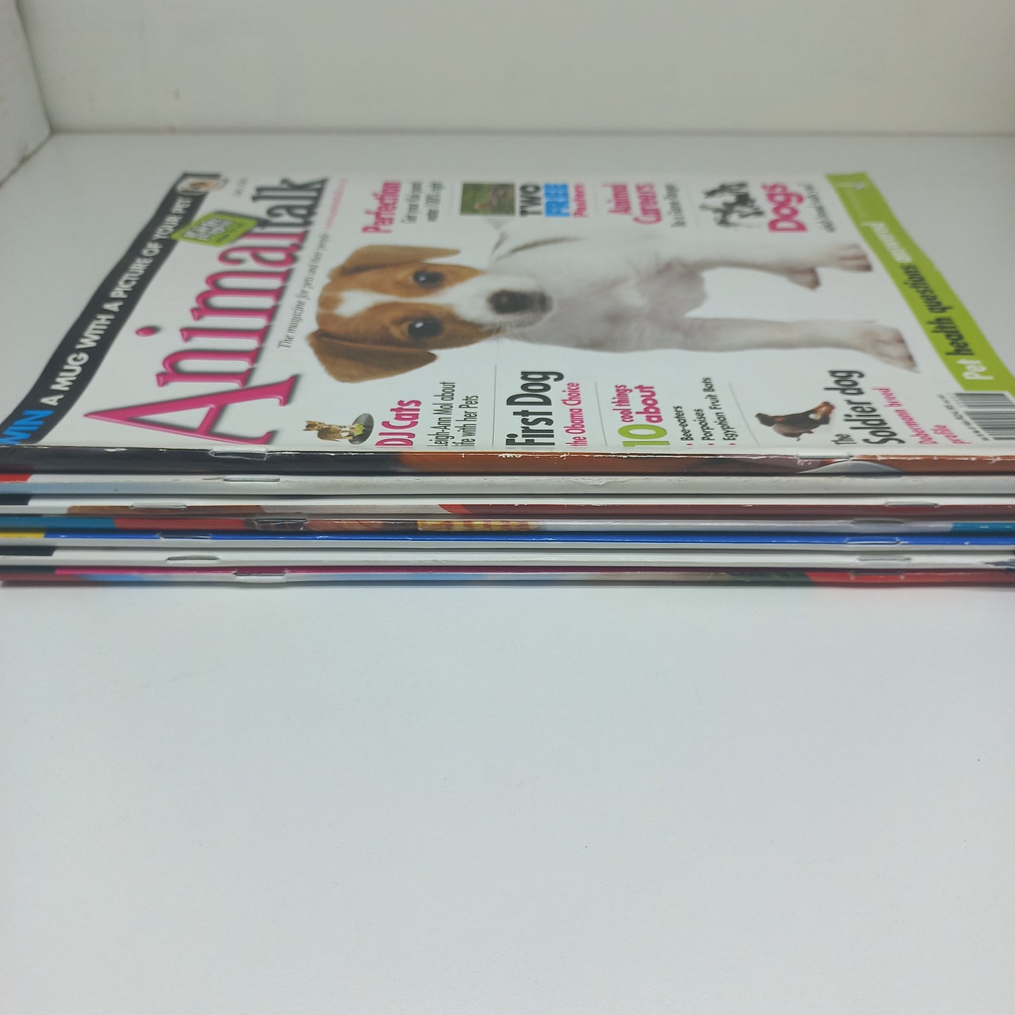 AnimalTalk Magazine Bundle 7 Magazines 2009 - 2010 Issues