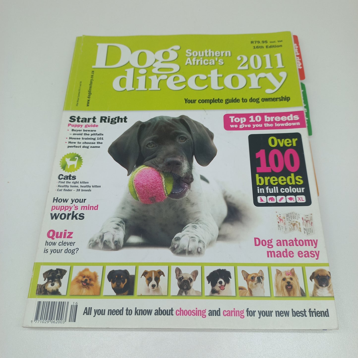 AnimalTalk Magazine Bundle 8 Magazines 2011 Issues & 2011 Dog Directory