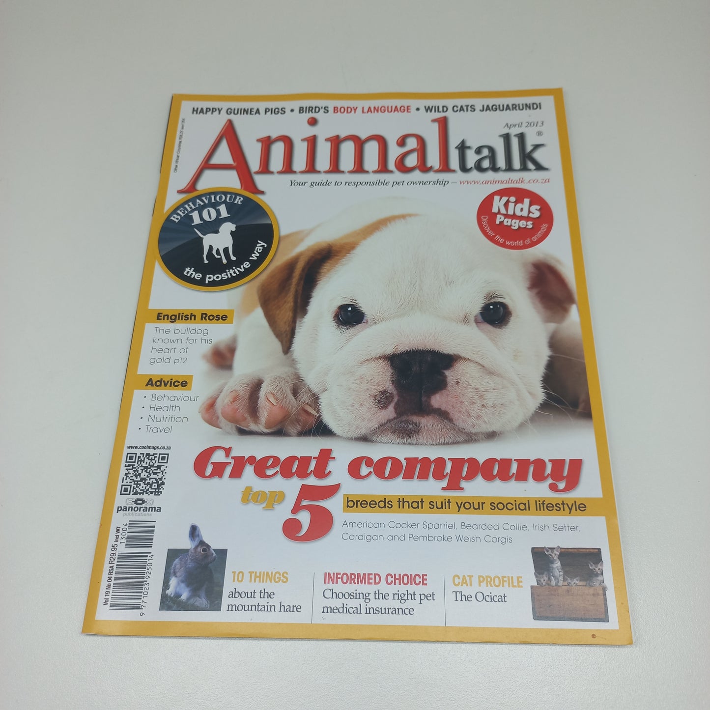 AnimalTalk Magazine Bundle 11 Magazines 2013 Issue (Missing October Edition)