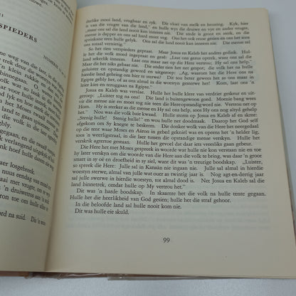 Die Kind se Bybel by Herman B. Scholtemeijer