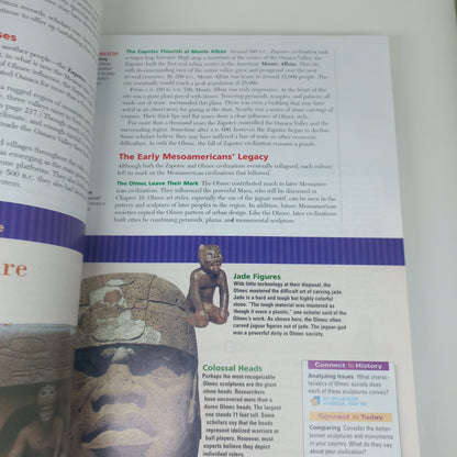 World History: Patterns of Interaction by McDougal Littell