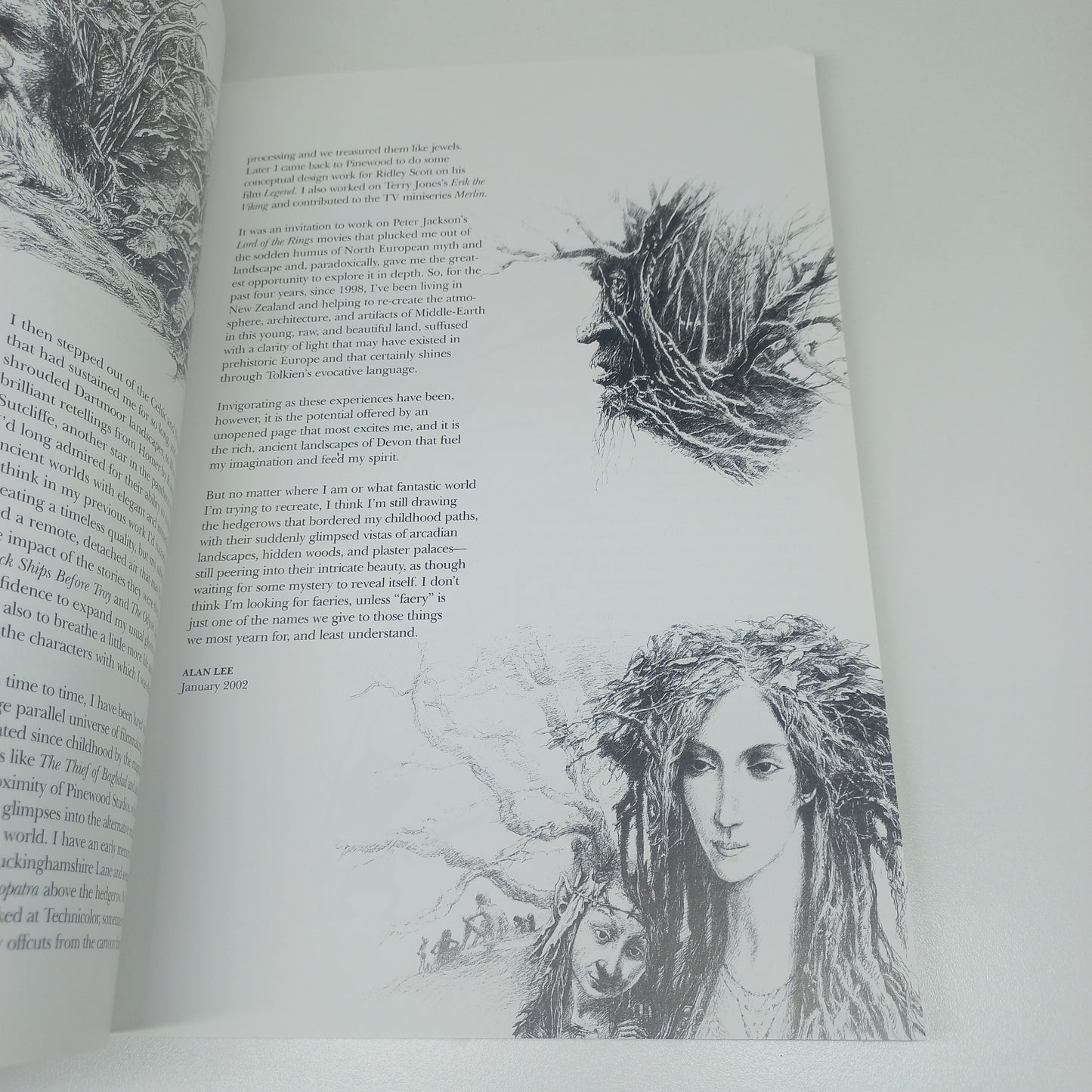 Faeries (Twenty-Fifth Anniversary Edition) by Brian Frond and Alan Lee
