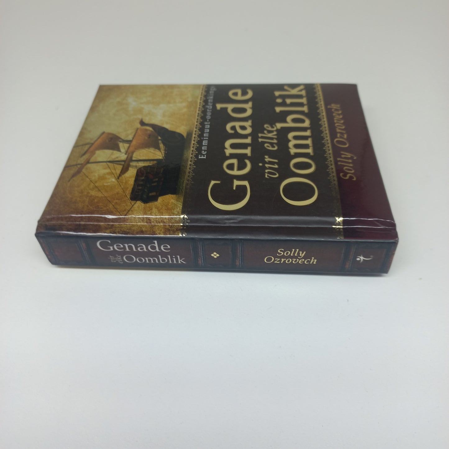Genade Vir Elke Oomblik by Solly Ozrovech