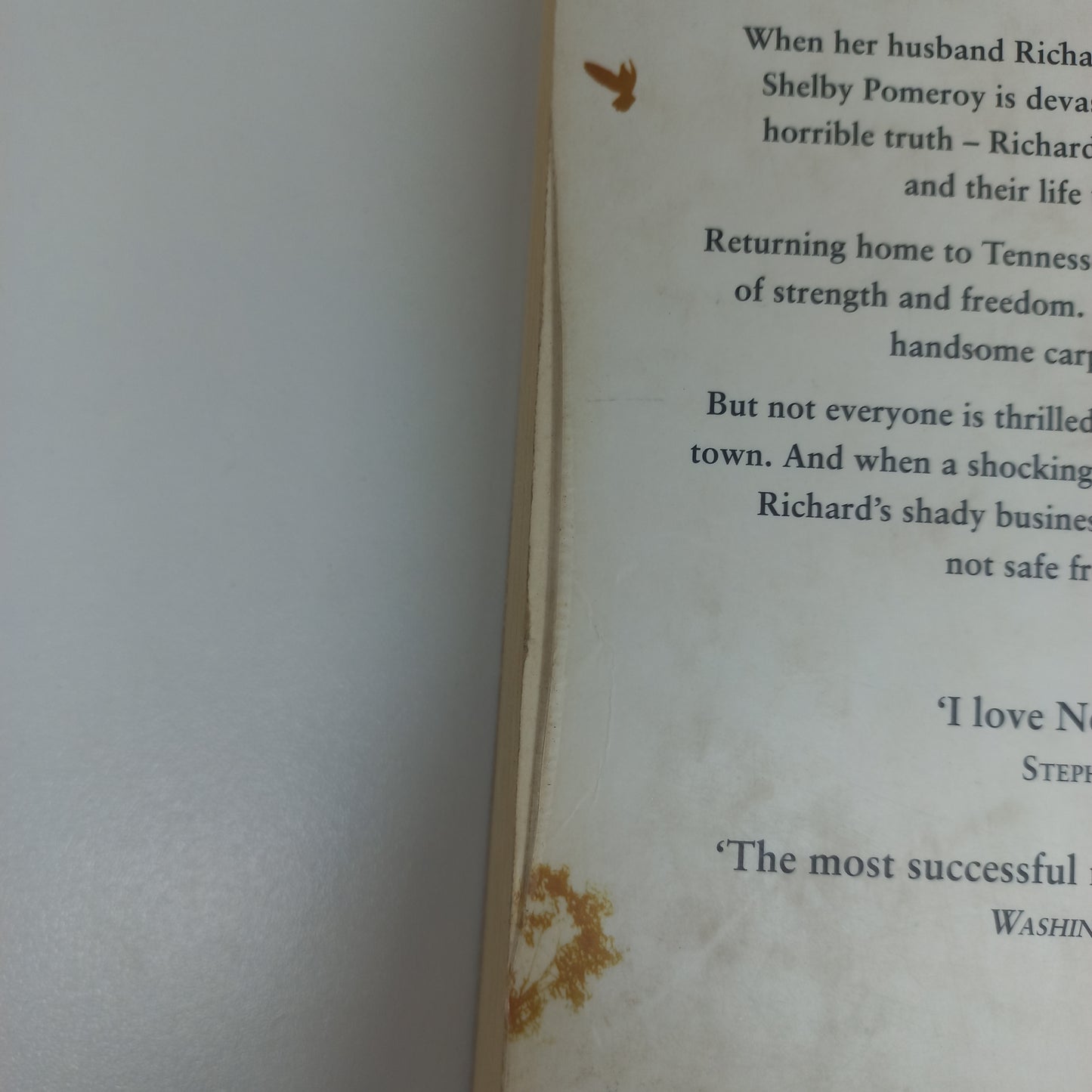 The Liar by Nora Roberts