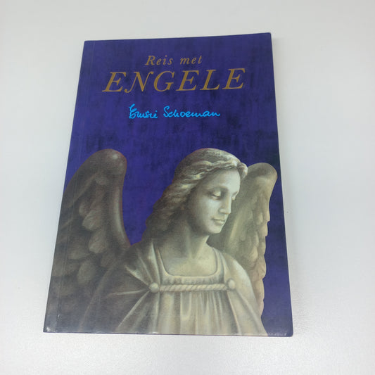 Reis Met Engele by Emsie Schoeman