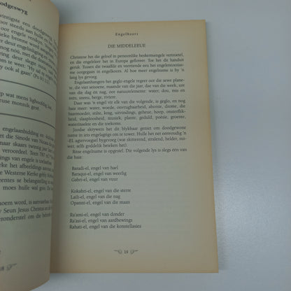 Reis Met Engele by Emsie Schoeman