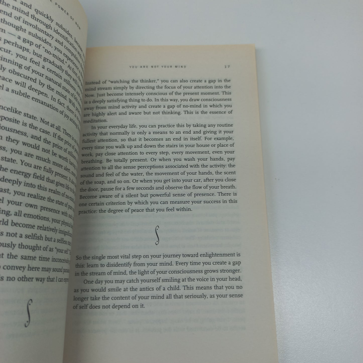 The Power of Now: A Spiritual Guide to Enlightenment by Eckhart Tolle