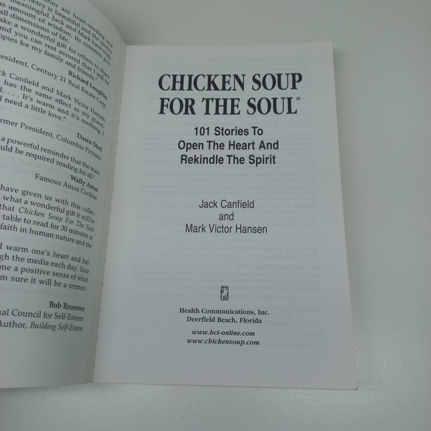 Chicken Soup for the Soul by Jack Canfield & Mark Victor Hansen (101 Stories to Open the Heart and Rekindle the Spirit)