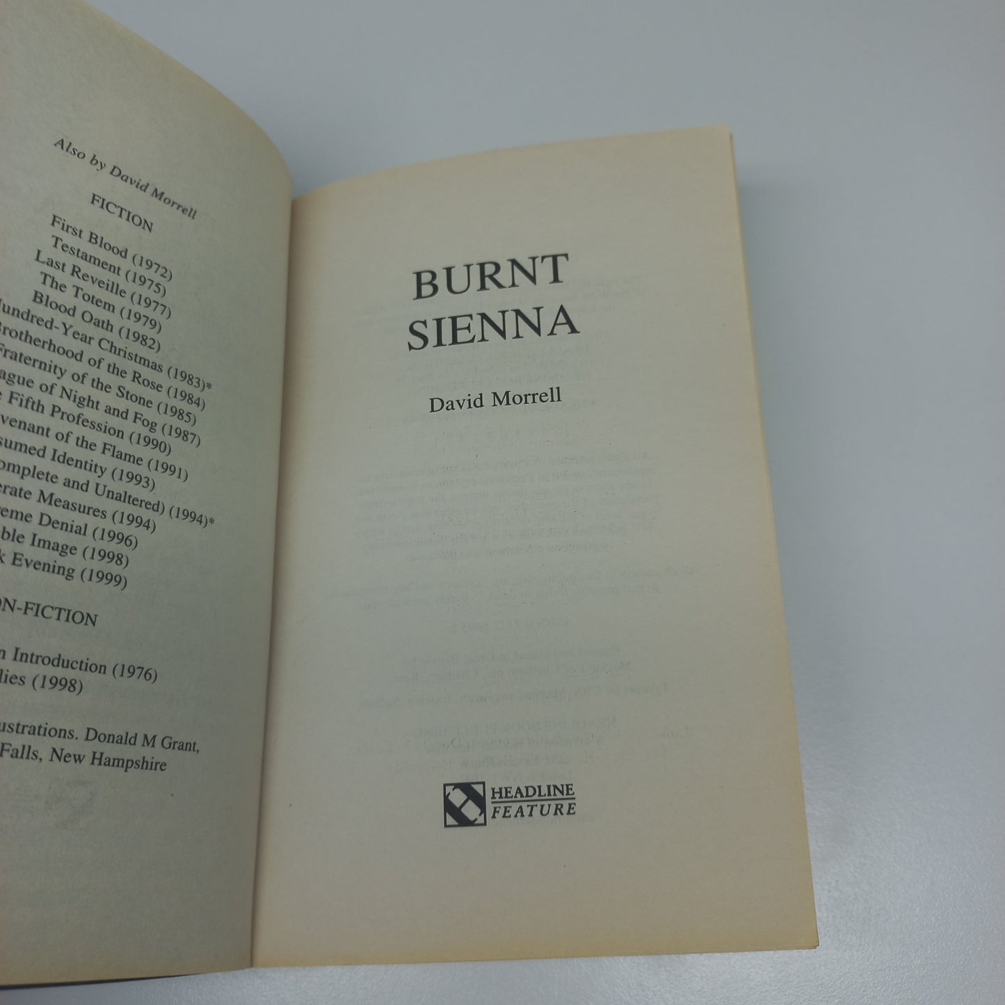 Burnt Sienna by David Morrell