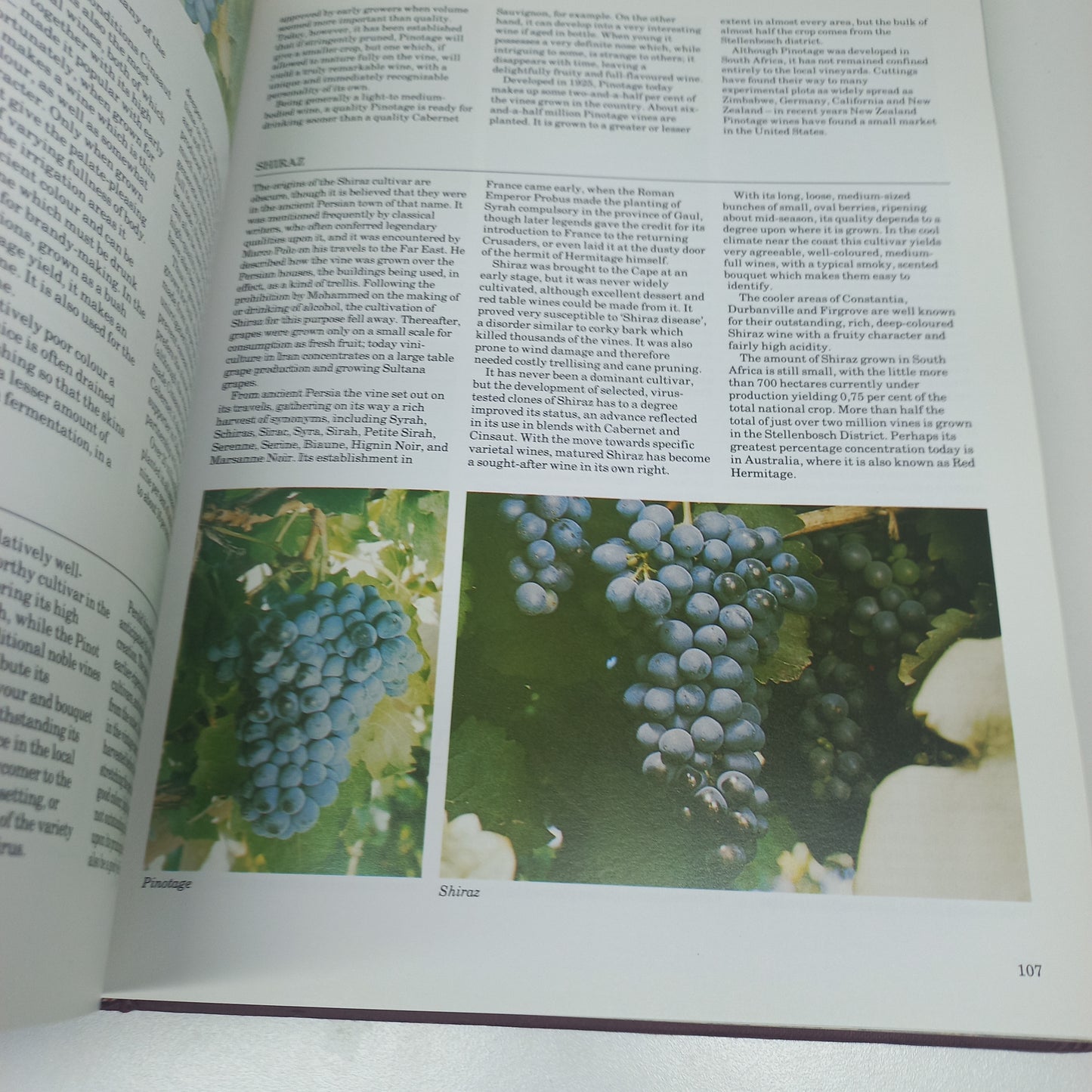 The Complete Book of South African Wine by John Kench, Phyllis Hands & David Hughes