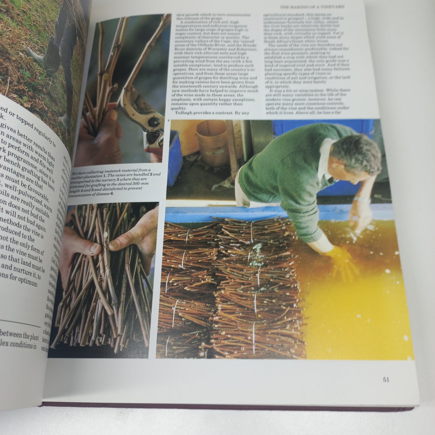 The Complete Book of South African Wine by John Kench, Phyllis Hands & David Hughes