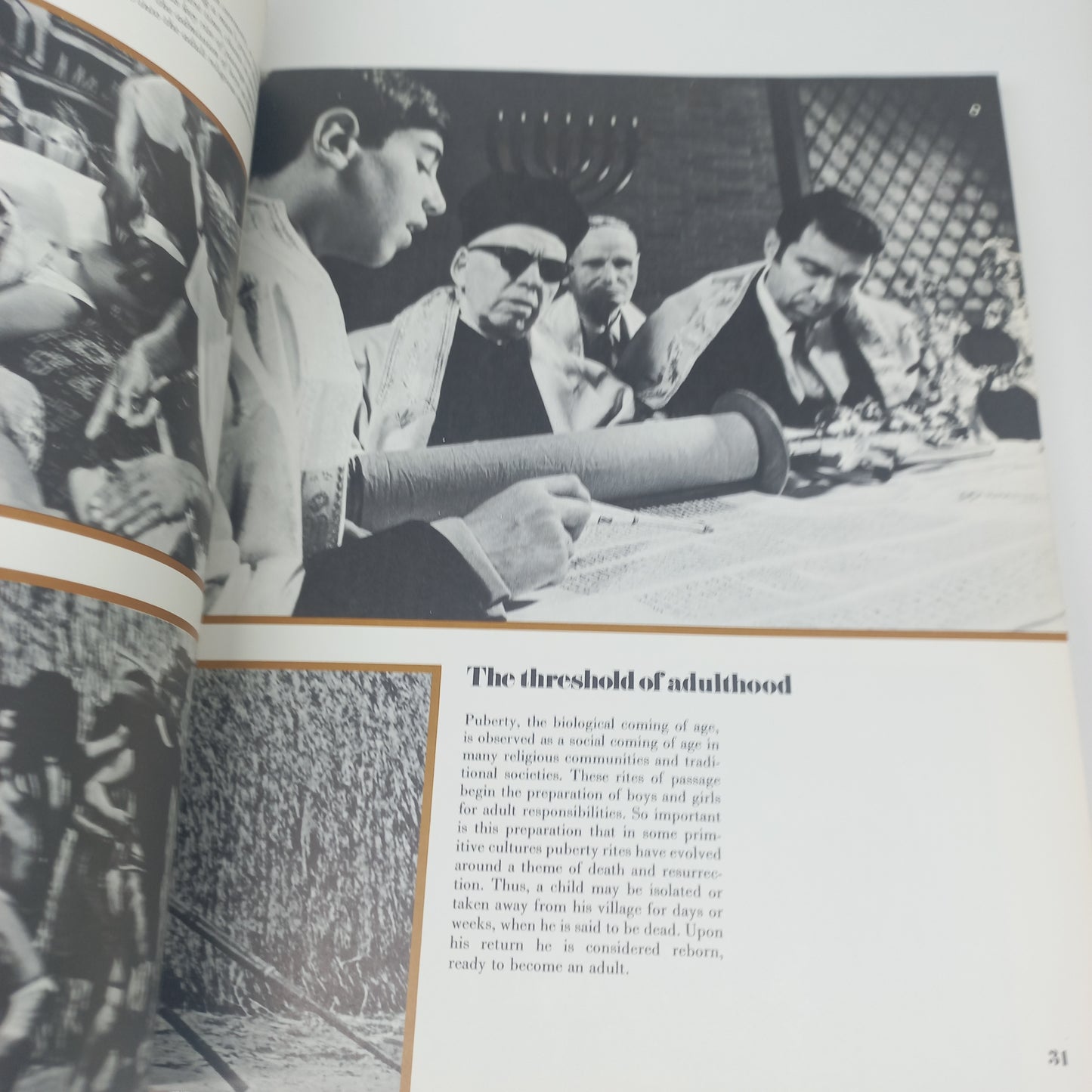 The Adult Years by Wilbur Bradbury