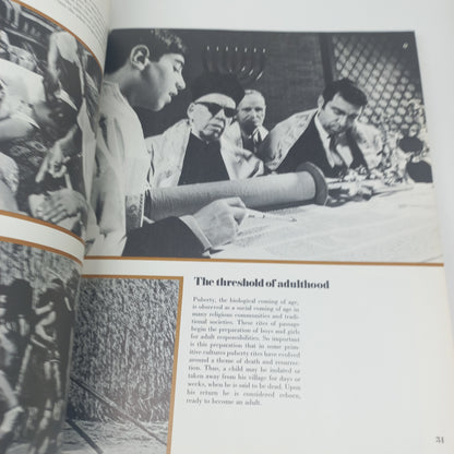 The Adult Years by Wilbur Bradbury