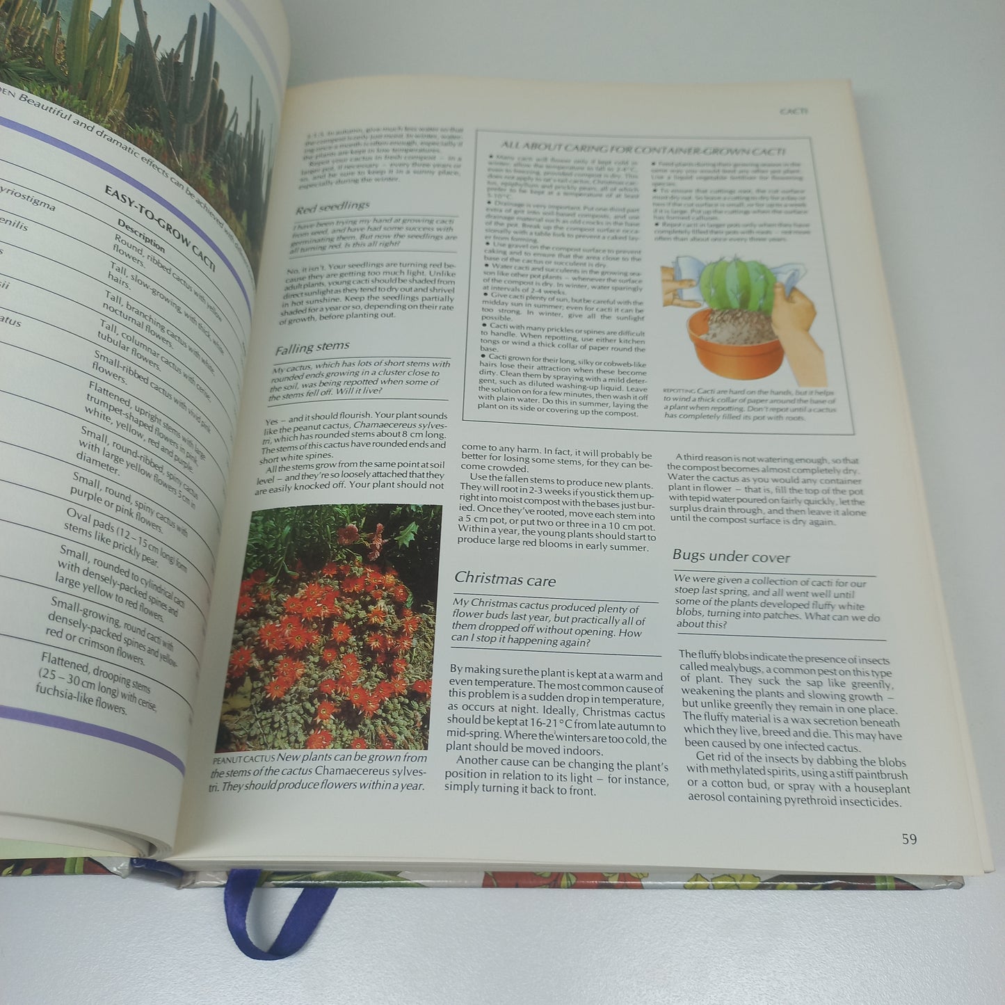 Your Gardening Questions Answered: A Practical Guide for the South African Gardener Reader's Digest