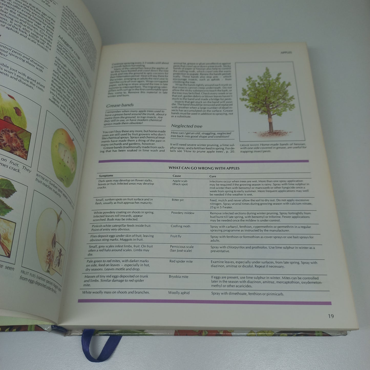 Your Gardening Questions Answered: A Practical Guide for the South African Gardener Reader's Digest