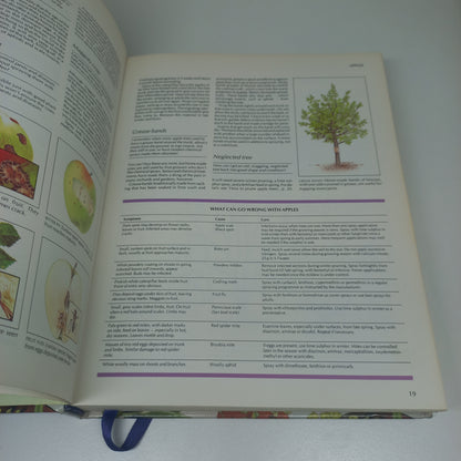 Your Gardening Questions Answered: A Practical Guide for the South African Gardener Reader's Digest