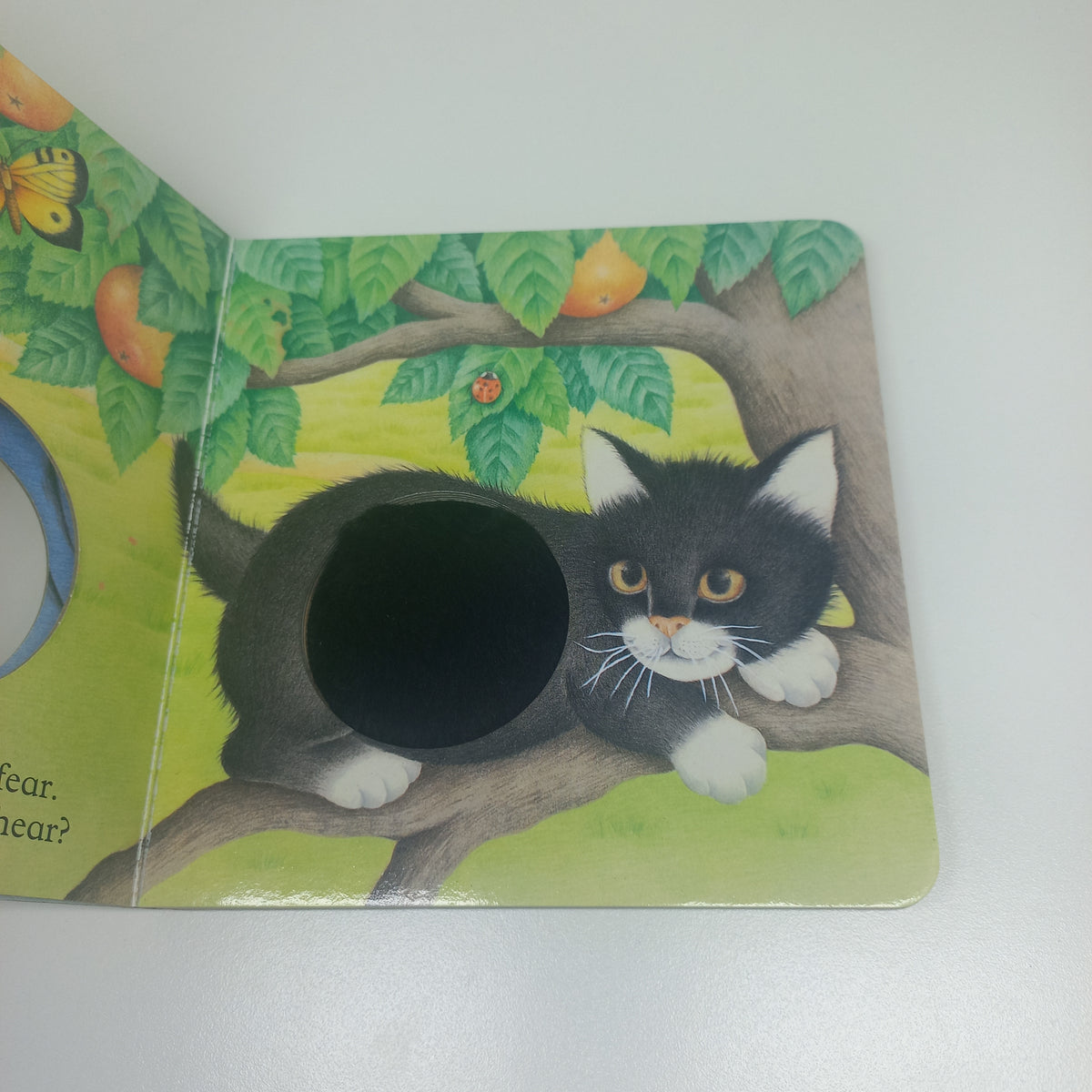 Tickle My Tummy: Make Me Meow (BOARD BOOK)