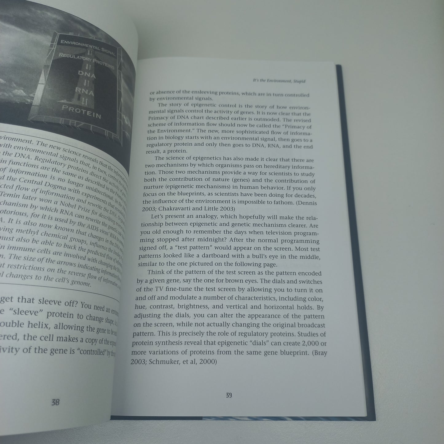 The Biology of Belief: Unleashing the Power of Consciousness, Matter & Miracles by Bruce H. Lipton