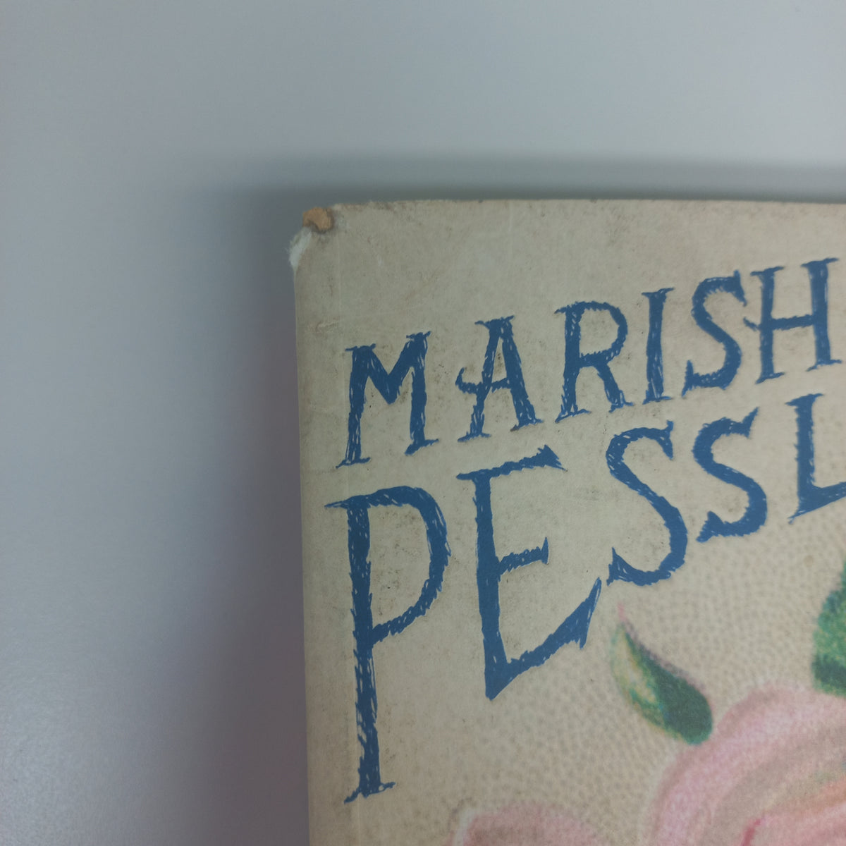 Special Topics in Calamity Physics by Marisha Pessl