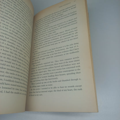 Odd Thomas (Odd Thomas #1) by Dean Koontz
