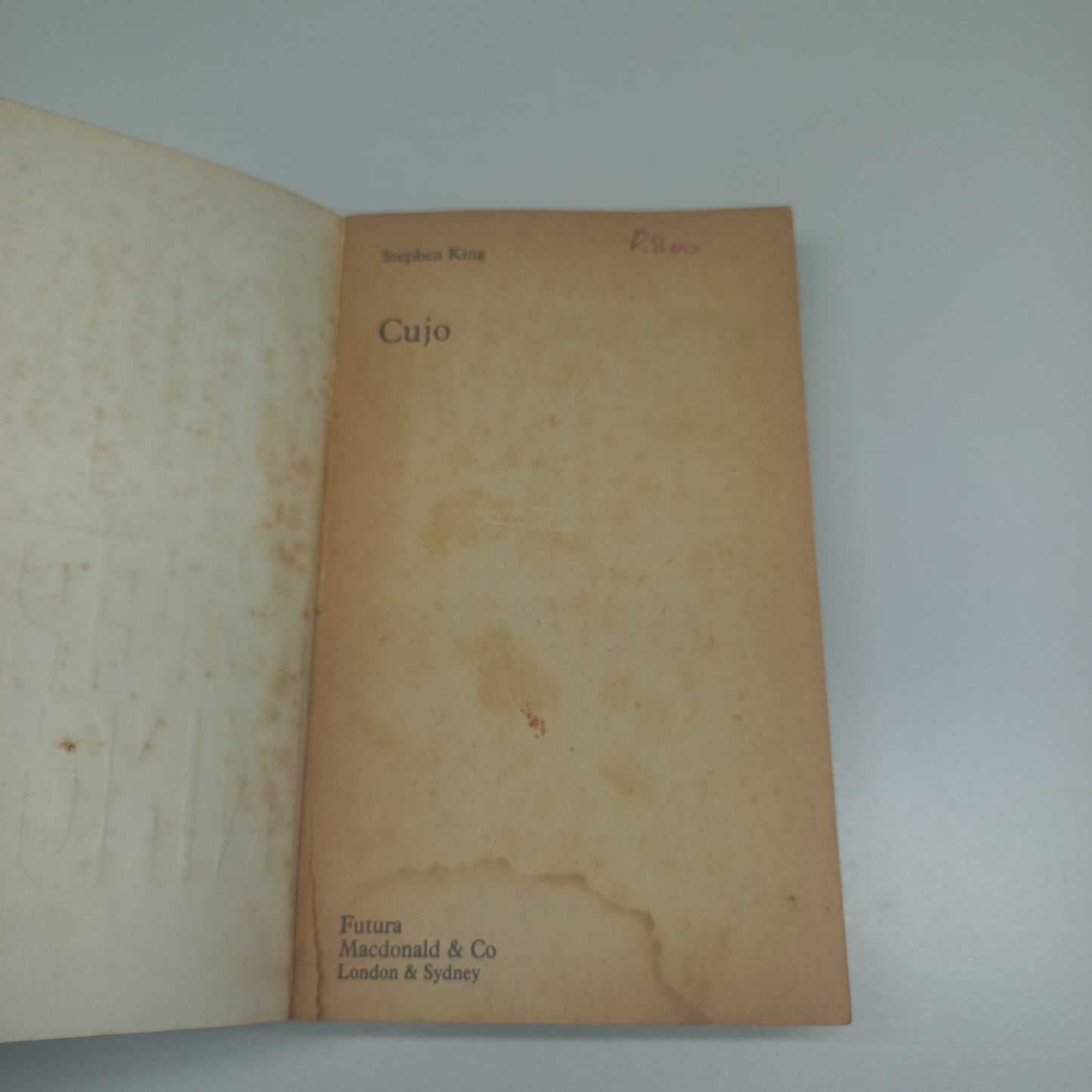 Cujo by Stephen King (Cujo/Rattlesnakes #1)