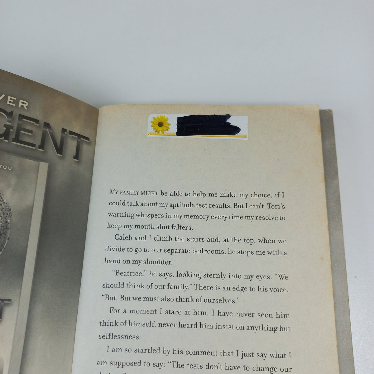 Divergent by Veronica Roth (Divergent #1)