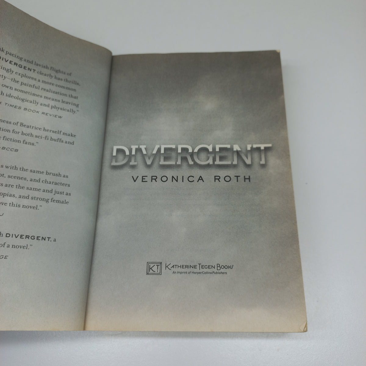 Divergent by Veronica Roth (Divergent #1)