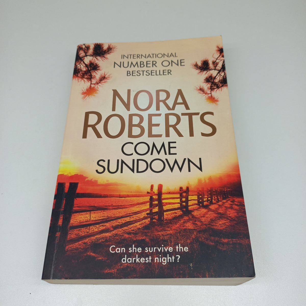 Come Sundown by Nora Roberts